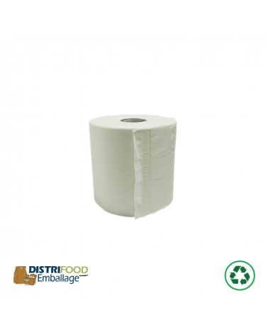 Essuie-tout professionnel